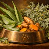 Herbal remedy ingredients in copper pet bowl with turmeric root, aloe vera, and dried herbs on rustic wooden surface