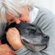 Senior woman with white hair tenderly kissing an older black dog in a warm, affectionate moment