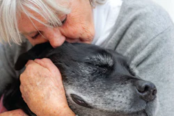 Senior woman with white hair tenderly kissing an older black dog in a warm, affectionate moment