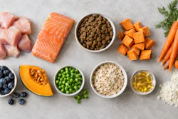 Nutritious whole foods including salmon, chicken, blueberries, sweet potato, carrots, oats, peas, and olive oil arranged on a gray surface