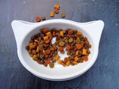 Colorful pet food kibble arranged in a white cat-shaped bowl on a blue textured surface
